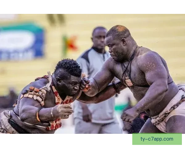 以盖伊称塞内加尔全力以赴夺冠